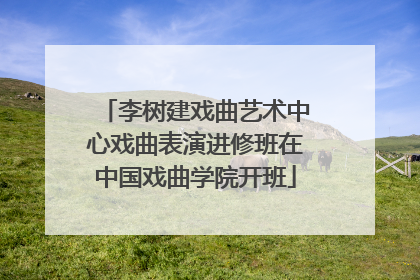 李树建戏曲艺术中心戏曲表演进修班在中国戏曲学院开班