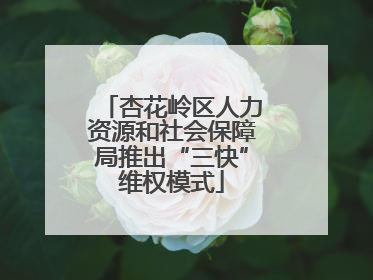 杏花岭区人力资源和社会保障局推出“三快”维权模式