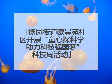 杨园街道欧景苑社区开展“童心探科学 助力科技强国梦”科技周活动