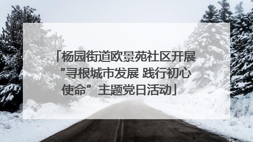杨园街道欧景苑社区开展“寻根城市发展 践行初心使命”主题党日活动