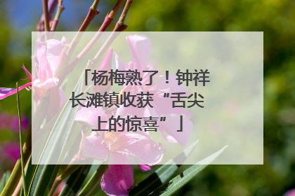 杨梅熟了！钟祥长滩镇收获“舌尖上的惊喜”