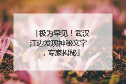 极为罕见！武汉江边发现神秘文字，专家揭秘