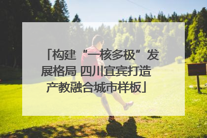 构建“一核多极”发展格局 四川宜宾打造产教融合城市样板
