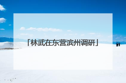 林武在东营滨州调研