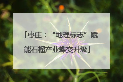 枣庄：“地理标志”赋能石榴产业蝶变升级