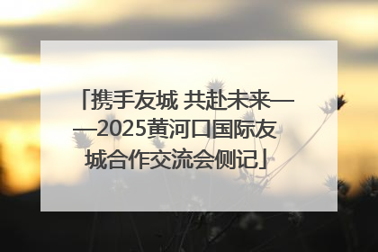 携手友城 共赴未来——2025黄河口国际友城合作交流会侧记