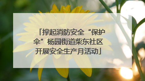 撑起消防安全“保护伞”杨园街道柴东社区开展安全生产月活动