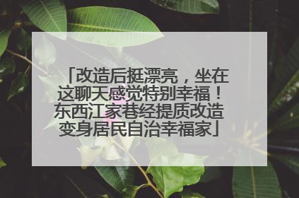 改造后挺漂亮，坐在这聊天感觉特别幸福！东西江家巷经提质改造变身居民自治幸福家