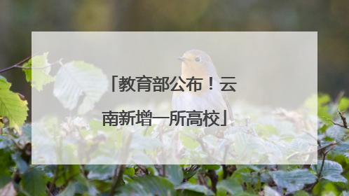 教育部公布！云南新增一所高校