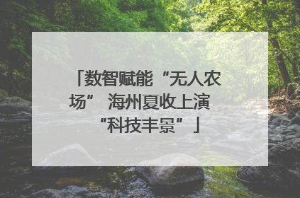 数智赋能“无人农场” 海州夏收上演“科技丰景”