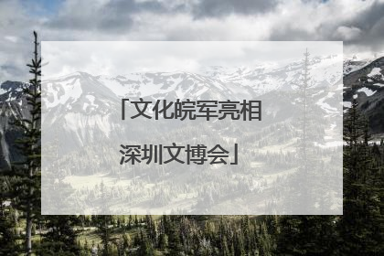 文化皖军亮相深圳文博会