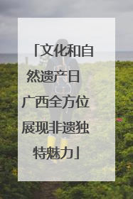 文化和自然遗产日 广西全方位展现非遗独特魅力