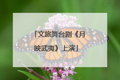 文旅舞台剧《月映武夷》上演