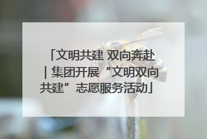 文明共建 双向奔赴｜集团开展“文明双向共建”志愿服务活动