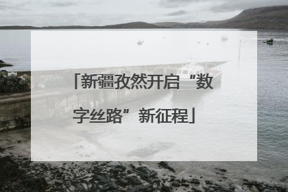 新疆孜然开启“数字丝路”新征程