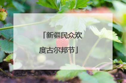 新疆民众欢度古尔邦节