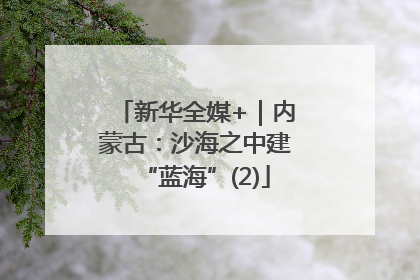 新华全媒+｜内蒙古：沙海之中建“蓝海”(2)