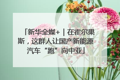 新华全媒+｜在霍尔果斯，这群人让国产新能源汽车“跑”向中亚