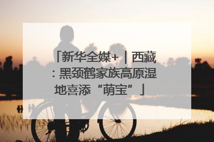 新华全媒+｜西藏：黑颈鹤家族高原湿地喜添“萌宝”