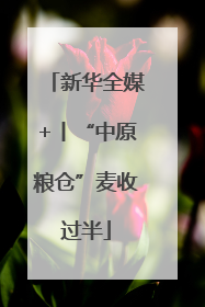 新华全媒+丨“中原粮仓”麦收过半