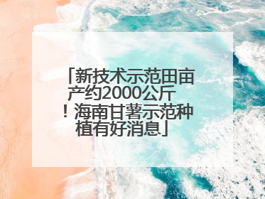 新技术示范田亩产约2000公斤！海南甘薯示范种植有好消息