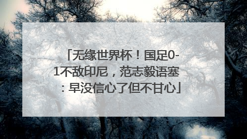 无缘世界杯！国足0-1不敌印尼，范志毅语塞：早没信心了但不甘心