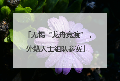 无锡“龙舟竞渡”，外籍人士组队参赛