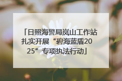 日照海警局岚山工作站扎实开展“碧海蓝盾2025”专项执法行动