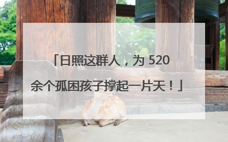 日照这群人，为 520 余个孤困孩子撑起一片天！