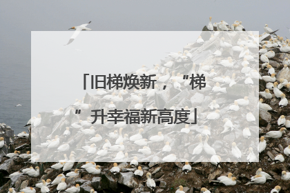 旧梯焕新，“梯”升幸福新高度