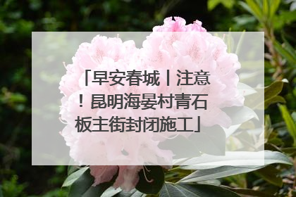早安春城丨注意！昆明海晏村青石板主街封闭施工