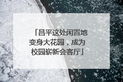 昌平这处闲置地变身大花园，成为校园崭新会客厅