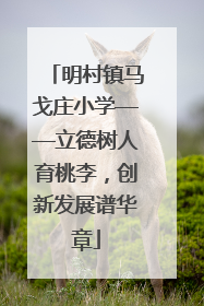明村镇马戈庄小学——立德树人育桃李，创新发展谱华章