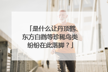 是什么让丹顶鹤、东方白鹳等珍稀鸟类纷纷在此落脚？