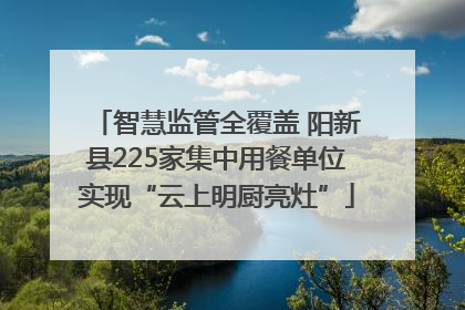 智慧监管全覆盖 阳新县225家集中用餐单位实现“云上明厨亮灶”