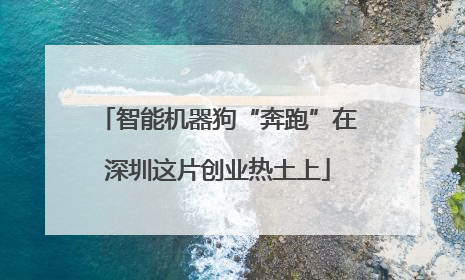 智能机器狗“奔跑”在深圳这片创业热土上