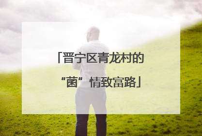 晋宁区青龙村的“菌”情致富路