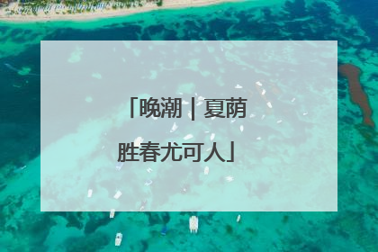 晚潮｜夏荫胜春尤可人