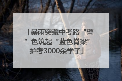 暴雨突袭中考路“警”色筑起“蓝色脊梁”护考3000余学子