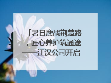 暑日鏖战荆楚路，匠心养护筑通途——江汉公司开启高速公路养护专项工程建设热潮
