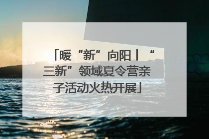 暖“新”向阳丨“三新”领域夏令营亲子活动火热开展
