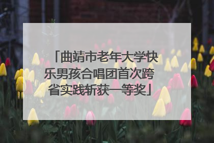 曲靖市老年大学快乐男孩合唱团首次跨省实践斩获一等奖