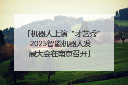机器人上演“才艺秀” 2025智能机器人发展大会在南京召开