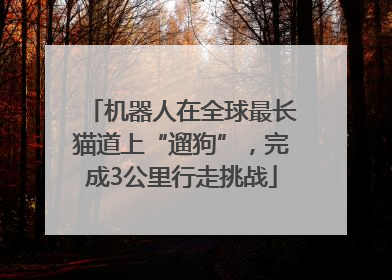 机器人在全球最长猫道上“遛狗”，完成3公里行走挑战