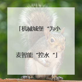 机械城堡“为小麦智能“控水“