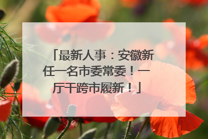 最新人事：安徽新任一名市委常委！一厅干跨市履新！