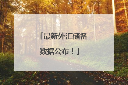 最新外汇储备数据公布！