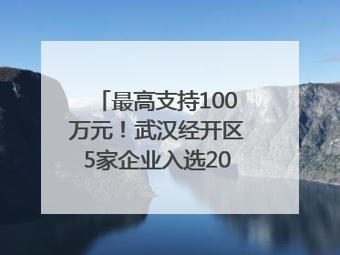 最高支持100万元！武汉经开区5家企业入选2025年度武汉市重点研发计划拟立项项目名单