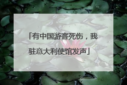 有中国游客死伤，我驻意大利使馆发声
