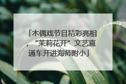 木偶戏节目精彩亮相，“茉莉花开”文艺直通车开进海师附小